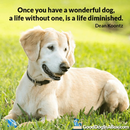 Shareable Dog Quotes from Dean Koontz