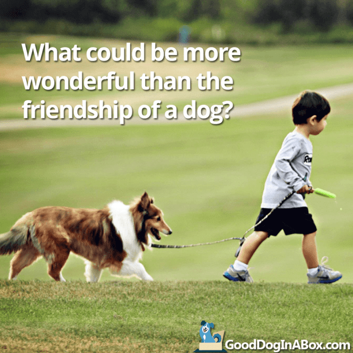 Dog Quotes Friendship