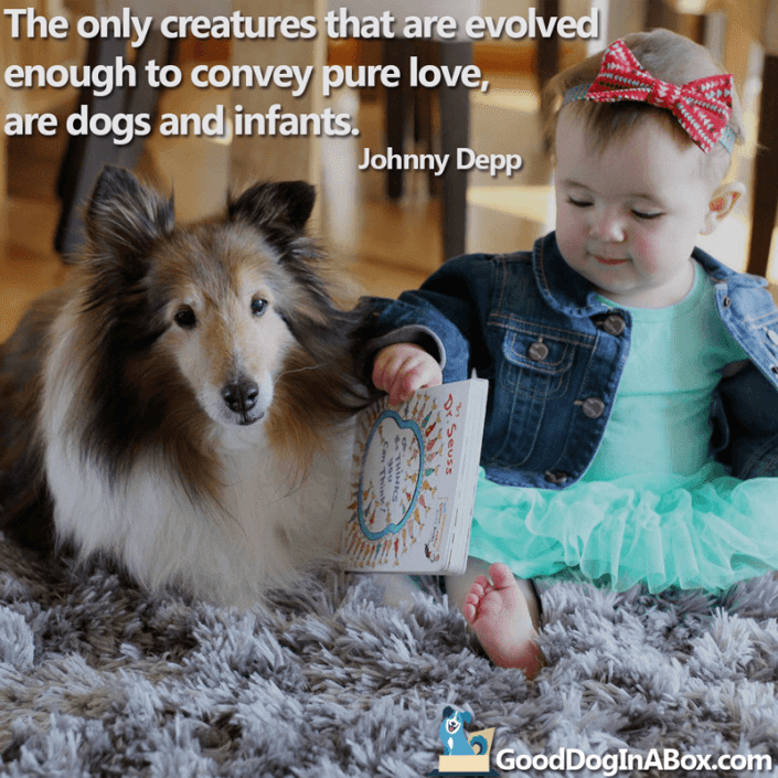 Dog Quotes Johnny Depp