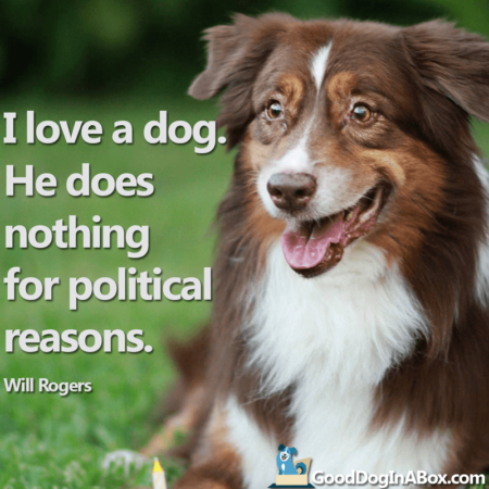 Dog Quotes: Will Rogers - Good Dog in a Box