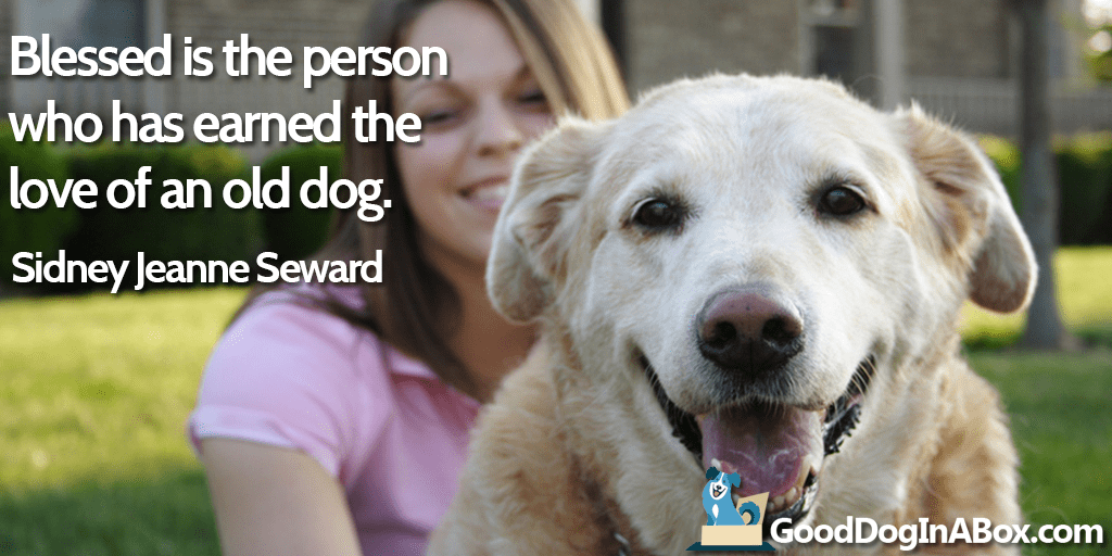 Dog Quotes: Sidney Jeanne Seward - Good Dog in a Box