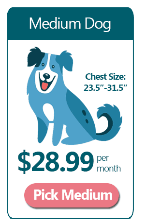 Medium Dog Size $28.99