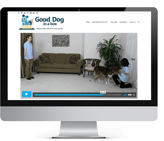 Good Dog Training Videos