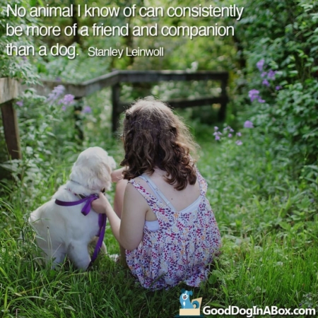 Dog Quotes & Dog Pictures - Share with Your Friends