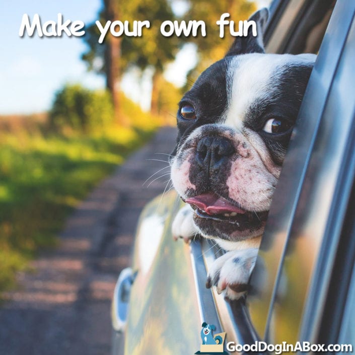 Boston Terrier Dog Quotes