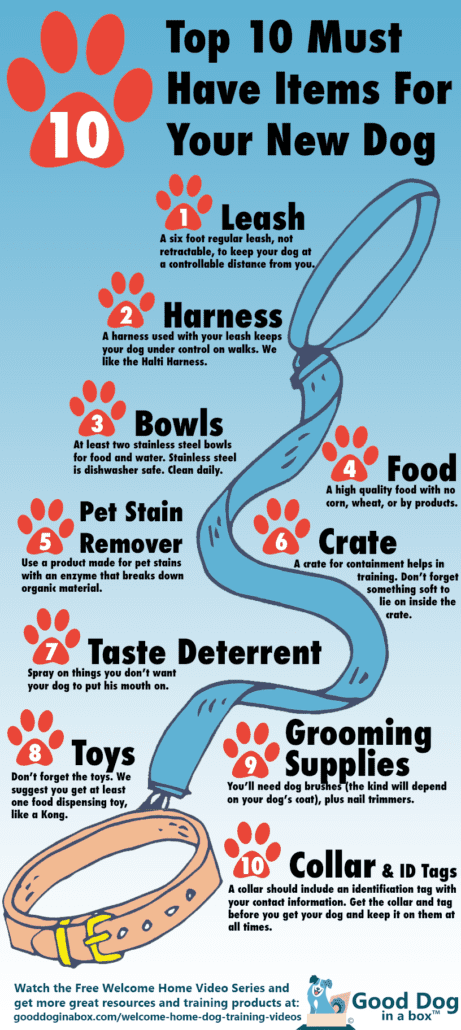 https://www.gooddoginabox.com/wp-content/uploads/2017/05/Top-10-Things-for-Your-New-Dog-Infographic-461x1030.png