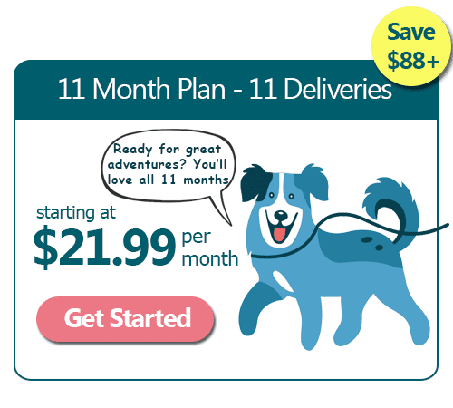 11 Month Good Dog Training Subscription