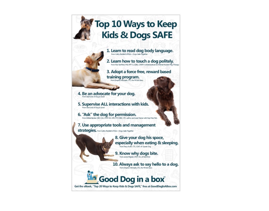 Top 10 Ways to Keep Kids & Dogs SAFE PDF