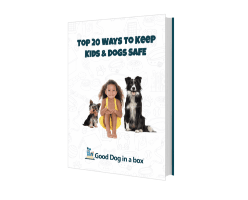 20 Ways To Keep Kids and Dogs SAFE ebook